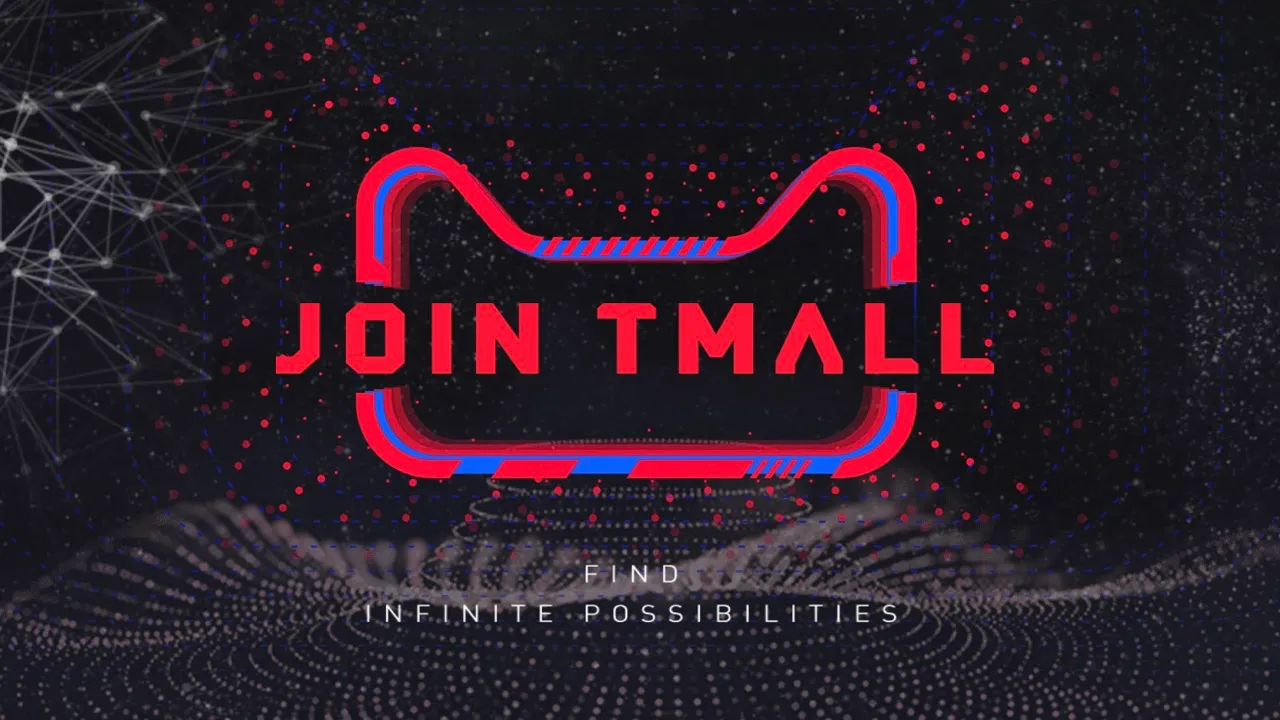 Tmall Partner: An Introduction